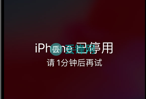 iPhone XS Max手机屏幕摔坏，自动输入密码多次已停用怎么办？