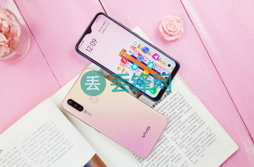 上海vivo Y3手机后置摄像头破裂，换摄像头大概多少钱？