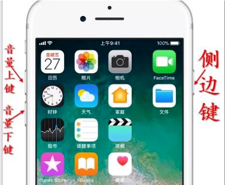 苹果iPhone 8plus手机屏幕失灵乱跳怎么办？