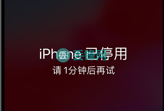 iPhone XS Max手机自动输入密码多次已停用怎么办？