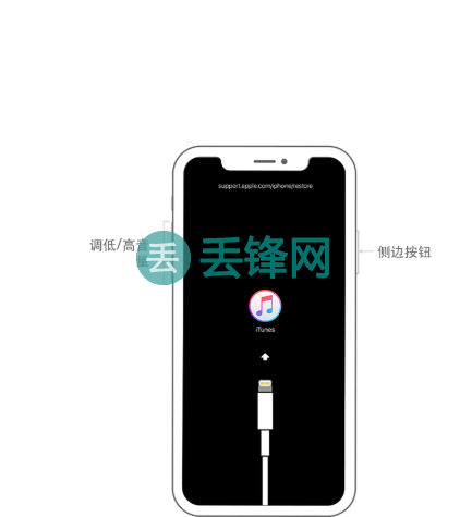 iPhone XS Max手机自动输入密码多次已停用怎么办？