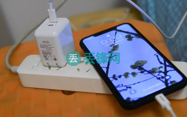 苹果iPhone XS手机充不进电是什么原因？