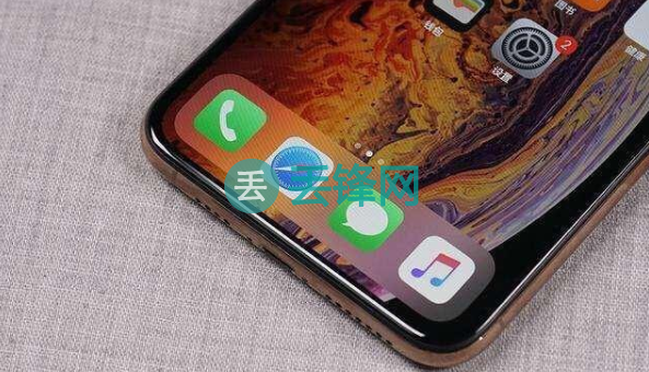 iPhone XS Max手机一直提示空间不足导致无法拍照怎么回事？